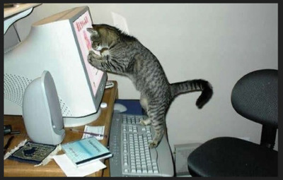 Комментарий с изображением на AdMe.Media