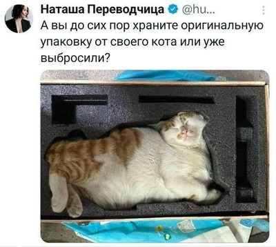 Комментарий с изображением на AdMe.Media