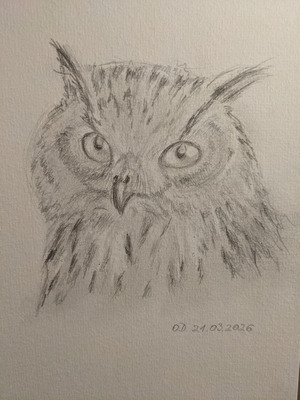 Комментарий с изображением на AdMe.Media