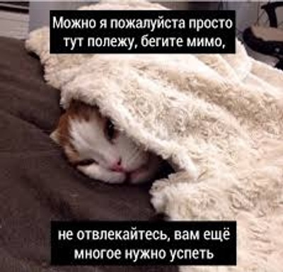 Комментарий с изображением на AdMe.Media