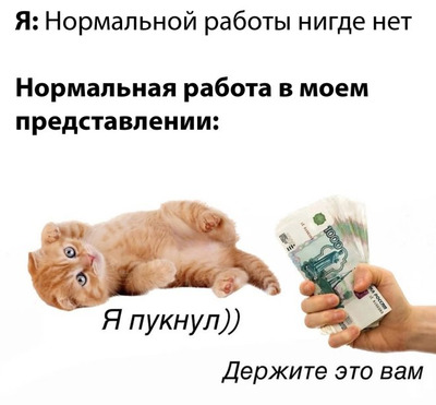Комментарий с изображением на AdMe.Media