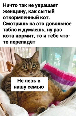 Комментарий с изображением на AdMe.Media