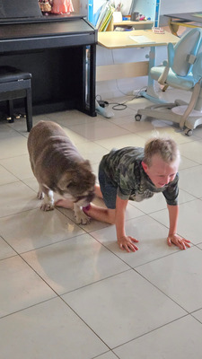 Комментарий с изображением на AdMe.Media