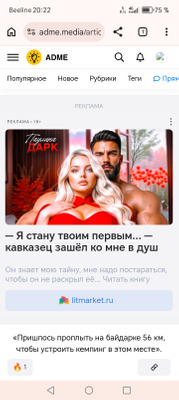 Комментарий с изображением на AdMe.Media
