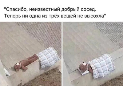 Комментарий с изображением на AdMe.Media