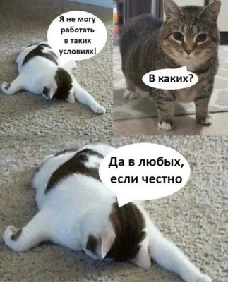 Комментарий с изображением на AdMe.Media