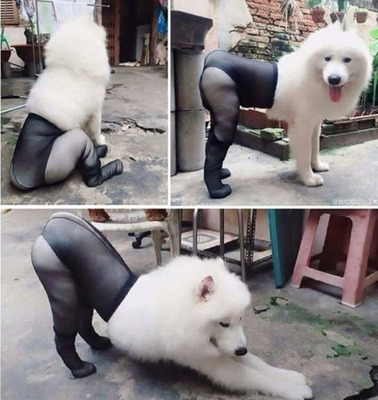 Комментарий с изображением на AdMe.Media