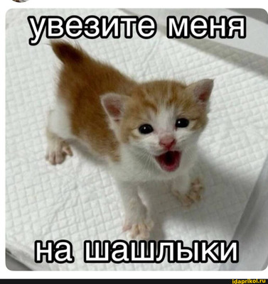 Комментарий с изображением на AdMe.Media