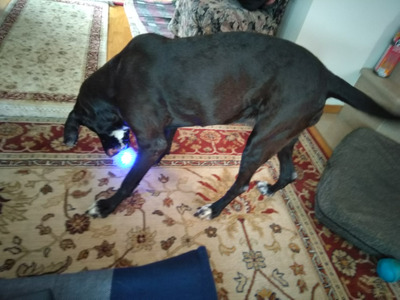 Комментарий с изображением на AdMe.Media