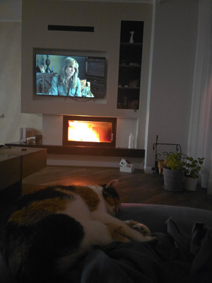 Комментарий с изображением на AdMe.Media