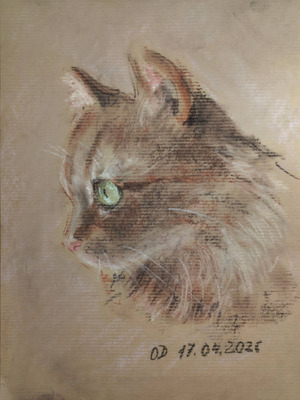 Комментарий с изображением на AdMe.Media