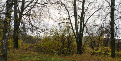 Комментарий с изображением на AdMe.Media