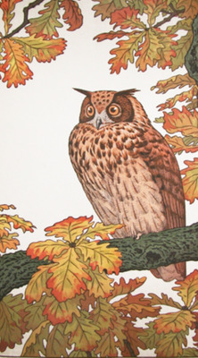 Комментарий с изображением на AdMe.Media