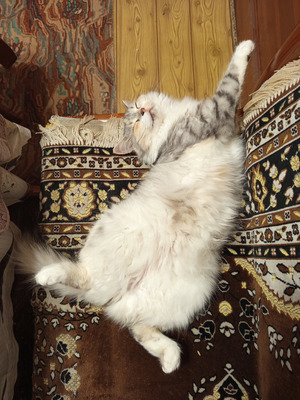 Комментарий с изображением на AdMe.Media