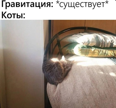 Комментарий с изображением на AdMe.Media