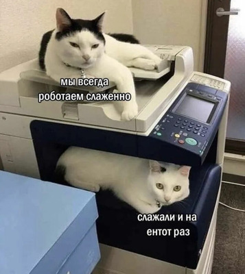 Комментарий с изображением на AdMe.Media