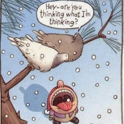 Комментарий с изображением на AdMe.Media