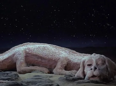 Комментарий с изображением на AdMe.Media