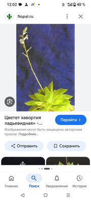 Комментарий с изображением на AdMe.Media