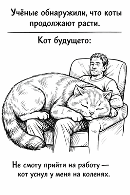 Комментарий с изображением на AdMe.Media