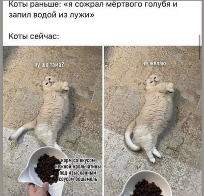 Комментарий с изображением на AdMe.Media