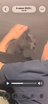 Комментарий с изображением на AdMe.Media