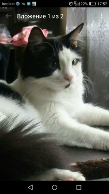 Комментарий с изображением на AdMe.Media