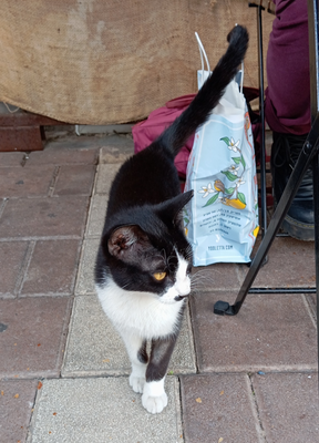 Комментарий с изображением на AdMe.Media