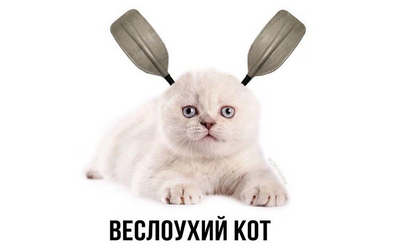 Комментарий с изображением на AdMe.Media