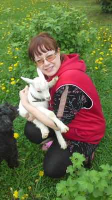 Комментарий с изображением на AdMe.Media