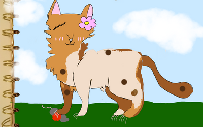 Комментарий с изображением на AdMe.Media