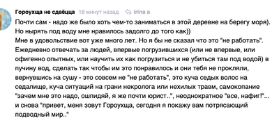 Комментарий с изображением на AdMe.Media