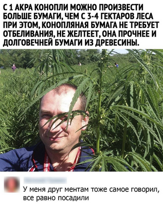 Комментарий с изображением на AdMe.Media