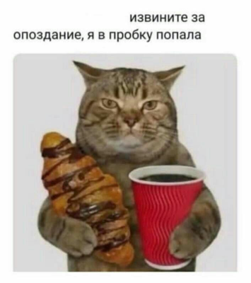 Комментарий с изображением на AdMe.Media