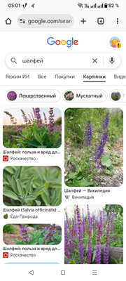 Комментарий с изображением на AdMe.Media