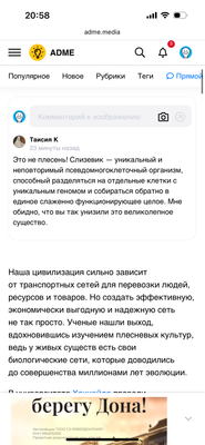 Комментарий с изображением на AdMe.Media