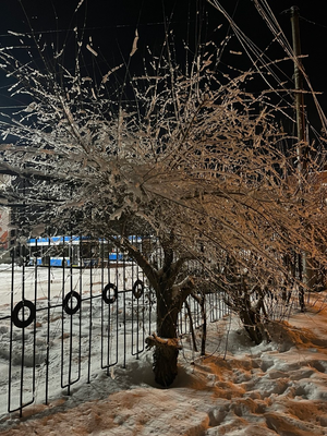 Комментарий с изображением на AdMe.Media