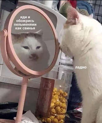 Комментарий с изображением на AdMe.Media