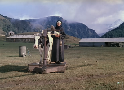 Комментарий с изображением на AdMe.Media