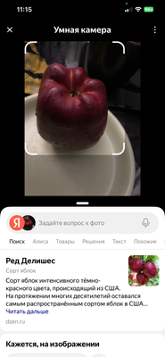 Комментарий с изображением на AdMe.Media