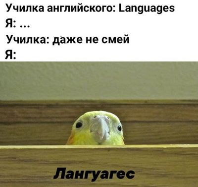 Комментарий с изображением на AdMe.Media