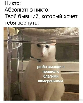 Комментарий с изображением на AdMe.Media