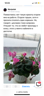 Комментарий с изображением на AdMe.Media