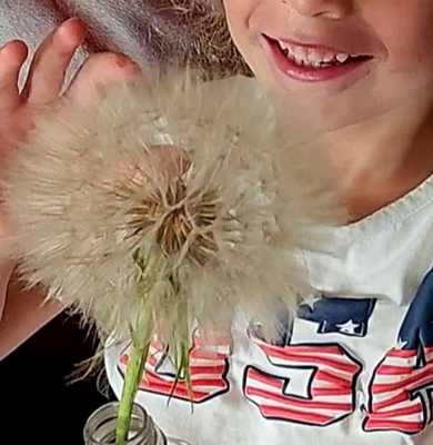 Комментарий с изображением на AdMe.Media