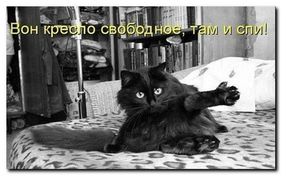 Комментарий с изображением на AdMe.Media