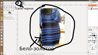 Почему одни видят платье черно-синим, другие бело-золотым. Научное объяснение - Shazoo