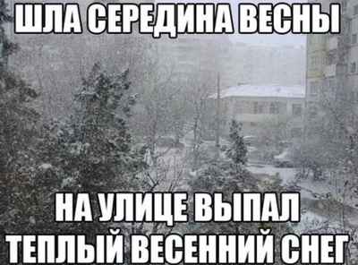 Комментарий с изображением на AdMe.Media