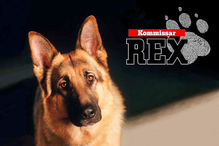 15 сериалов для тех, кто учит немецкий