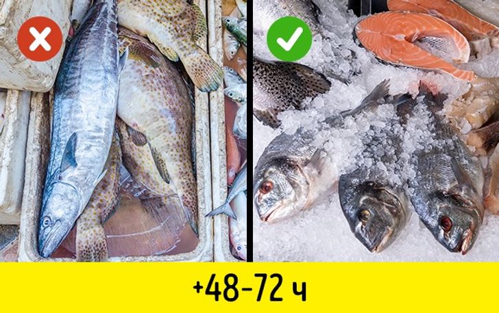 Срок хранения в вакуумной упаковке. Хранение продуктов. Открытый холодильник. Хранение охлажденной рыбы в магазине. Сколько можно хранить рыбу без холодильника свежую.