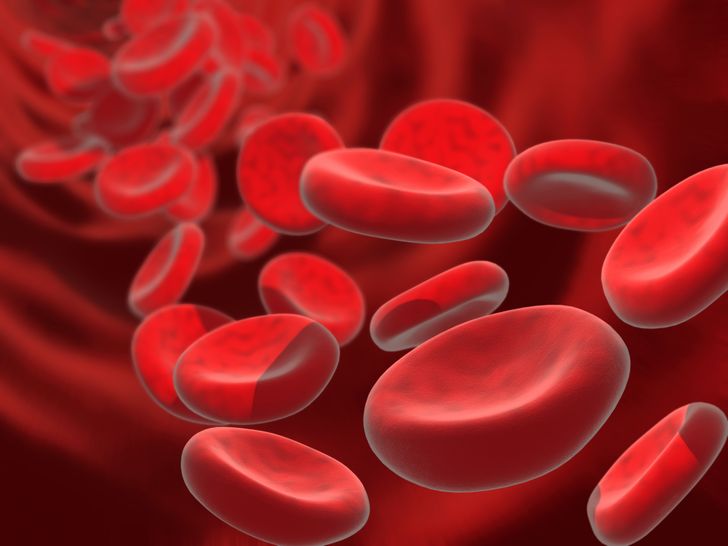 Болезни крови - виды, симптомы, причины, лечение и диагностика | Как лечить?